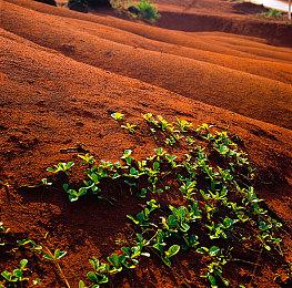 《Old School Rally》Steam上线 复古风拉力赛车